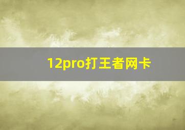 12pro打王者网卡