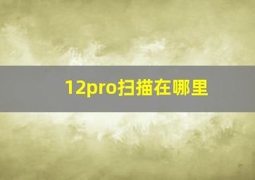 12pro扫描在哪里