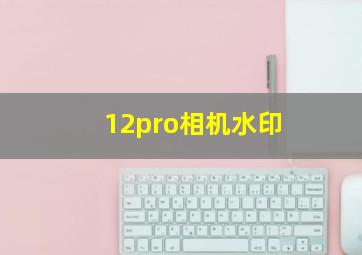 12pro相机水印