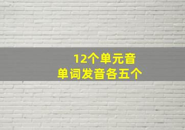 12个单元音单词发音各五个