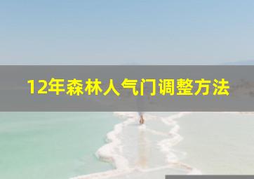 12年森林人气门调整方法