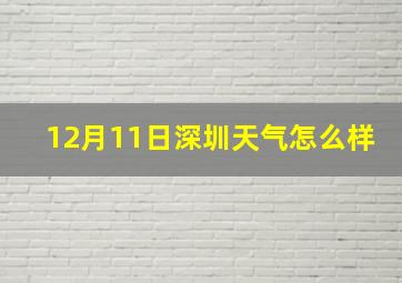 12月11日深圳天气怎么样