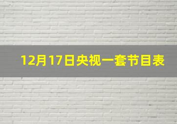 12月17日央视一套节目表