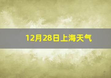 12月28日上海天气