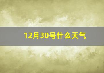 12月30号什么天气