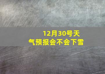 12月30号天气预报会不会下雪