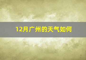 12月广州的天气如何