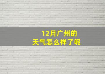 12月广州的天气怎么样了呢