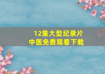 12集大型纪录片中医免费观看下载