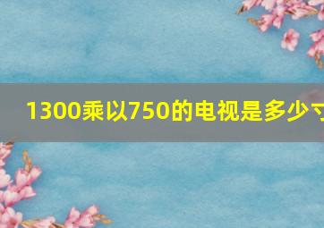 1300乘以750的电视是多少寸