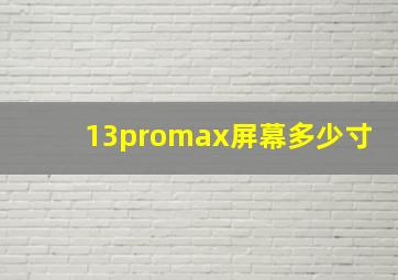 13promax屏幕多少寸