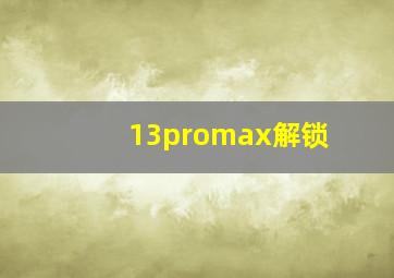 13promax解锁