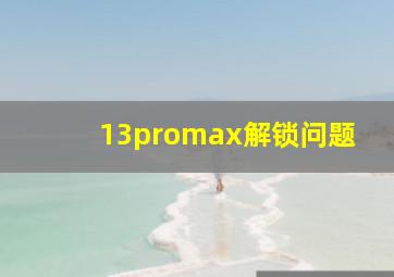 13promax解锁问题