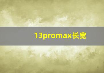 13promax长宽