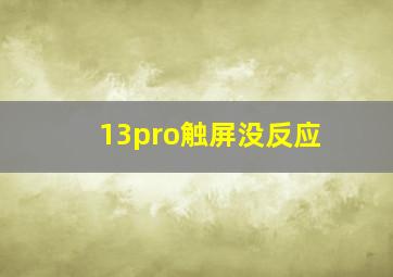 13pro触屏没反应