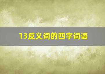 13反义词的四字词语