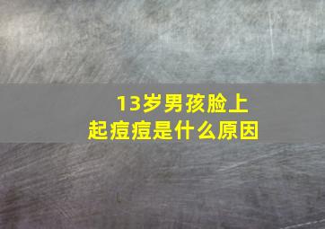 13岁男孩脸上起痘痘是什么原因