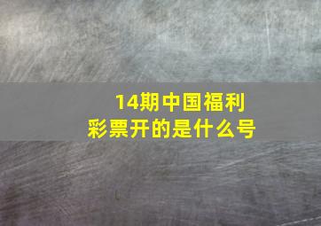 14期中国福利彩票开的是什么号