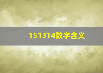 151314数字含义