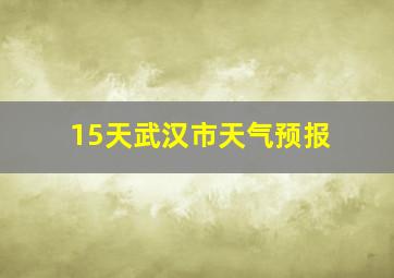 15天武汉市天气预报