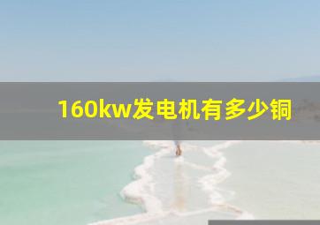 160kw发电机有多少铜