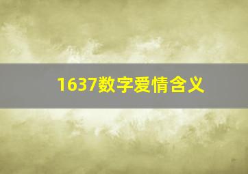 1637数字爱情含义