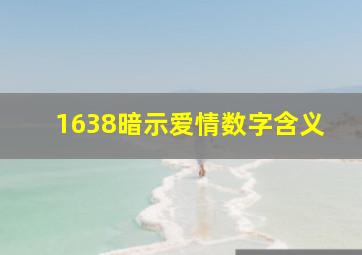 1638暗示爱情数字含义