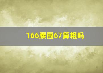 166腰围67算粗吗