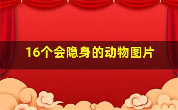 16个会隐身的动物图片