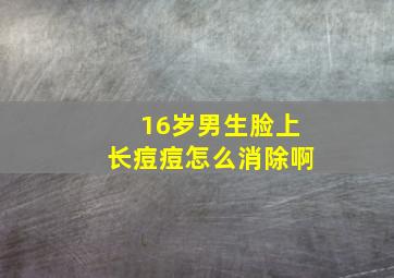 16岁男生脸上长痘痘怎么消除啊