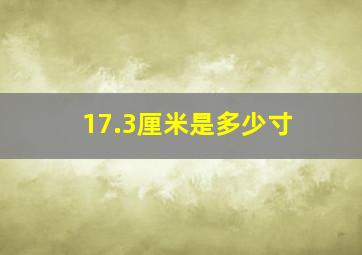 17.3厘米是多少寸