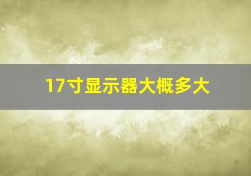 17寸显示器大概多大