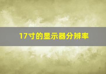 17寸的显示器分辨率