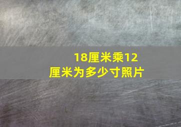 18厘米乘12厘米为多少寸照片