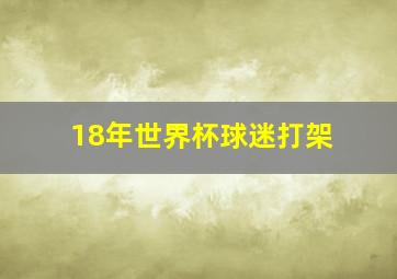 18年世界杯球迷打架