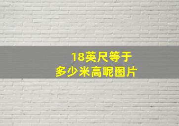 18英尺等于多少米高呢图片