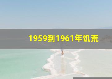 1959到1961年饥荒