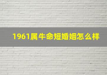 1961属牛命短婚姻怎么样