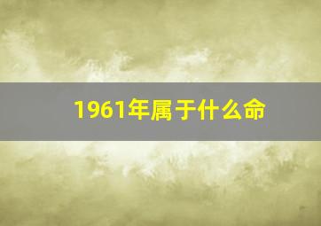 1961年属于什么命