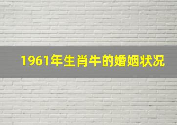 1961年生肖牛的婚姻状况