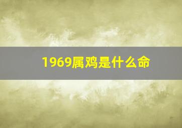 1969属鸡是什么命