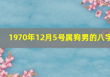 1970年12月5号属狗男的八字