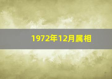 1972年12月属相