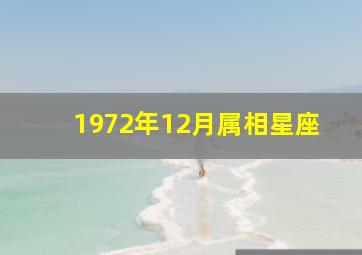 1972年12月属相星座