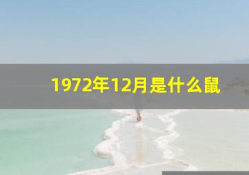 1972年12月是什么鼠