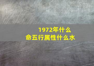 1972年什么命五行属性什么水