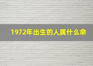 1972年出生的人属什么命