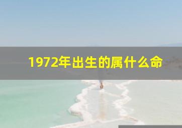 1972年出生的属什么命