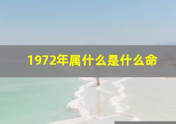 1972年属什么是什么命