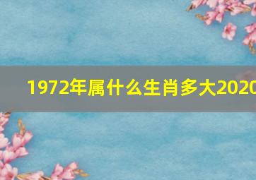 1972年属什么生肖多大2020